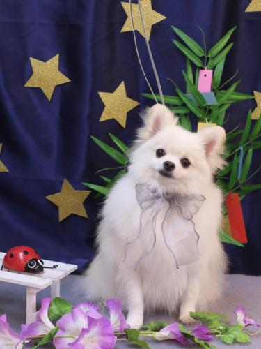 20230717オトくん